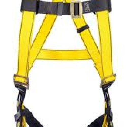 Workman Body harness