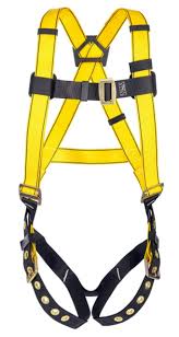 Workman Body harness