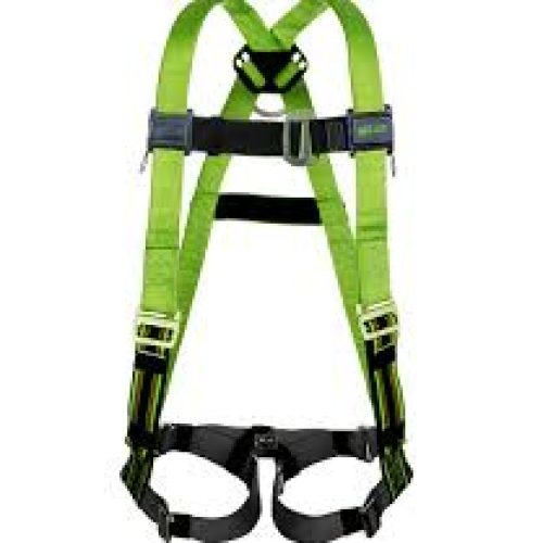 Plus Body Harness